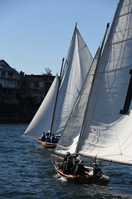 DSC_1494.JPG