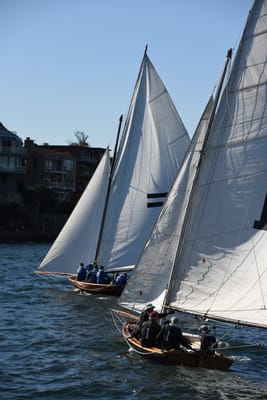 DSC_1495.JPG