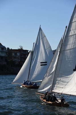 DSC_1496.JPG
