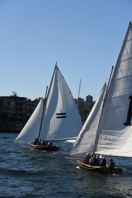 DSC_1497.JPG