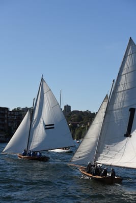 DSC_1498.JPG