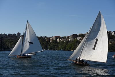DSC_1500.JPG