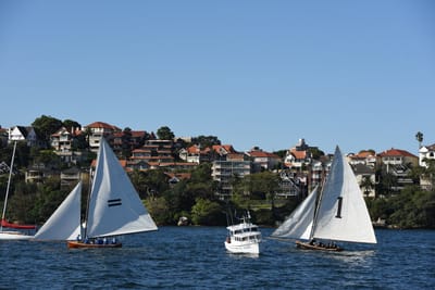 DSC_1501.JPG