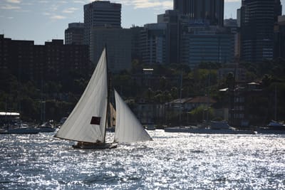 DSC_1502.JPG