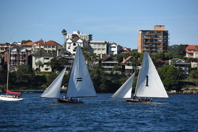 DSC_1503.JPG