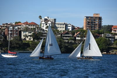 DSC_1504.JPG