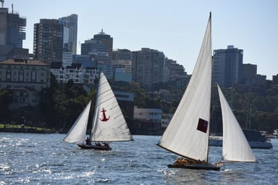 DSC_1505.JPG