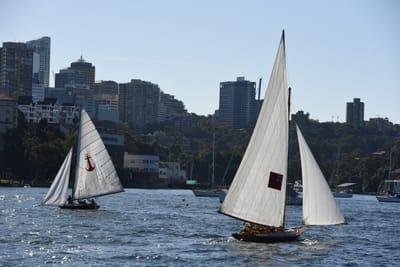 DSC_1507.JPG