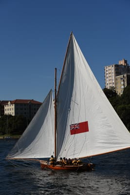 DSC_1508.JPG