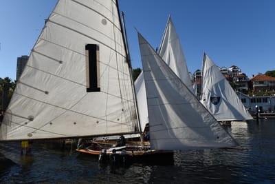 DSC_1523.JPG