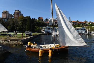 DSC_1527.JPG