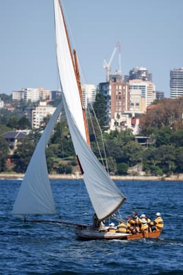 DSC_6690.JPG