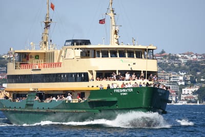 DSC_6691.JPG
