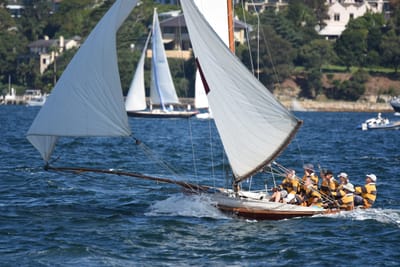 DSC_6695.JPG