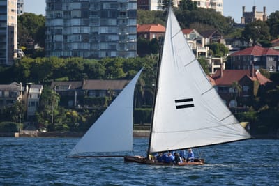 DSC_6698.JPG