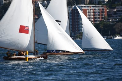 DSC_6699.JPG