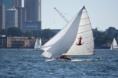 DSC_6704.JPG