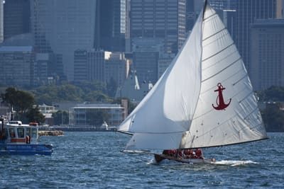 DSC_6705.JPG