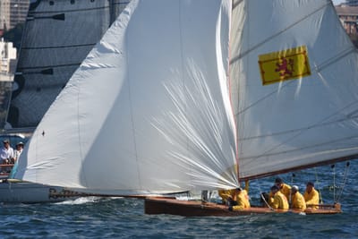 DSC_6715.JPG