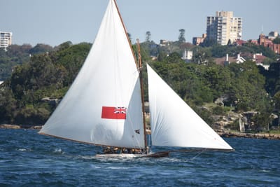 DSC_6720.JPG