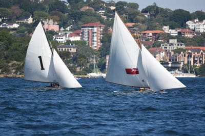 DSC_6728.JPG