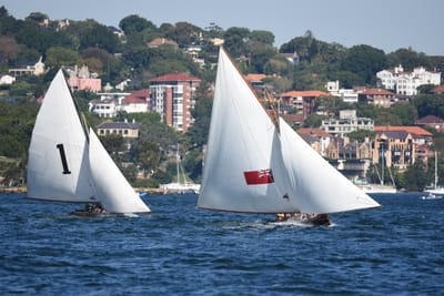 DSC_6729.JPG