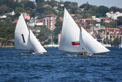 DSC_6730.JPG