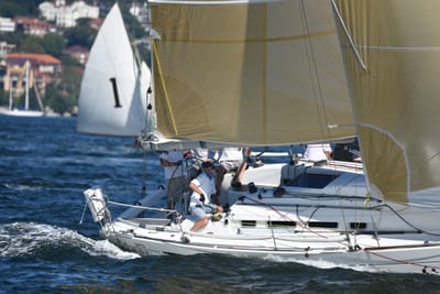 DSC_6732.JPG