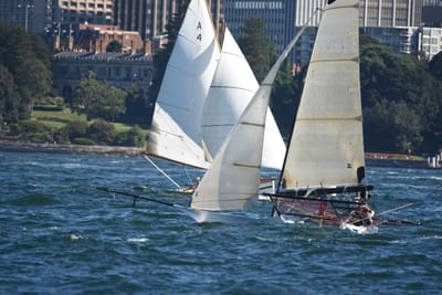DSC_6737.JPG