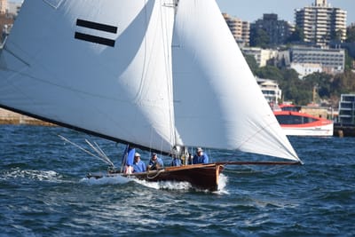 DSC_6738.JPG