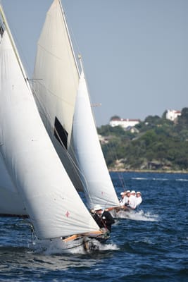 DSC_6743.JPG