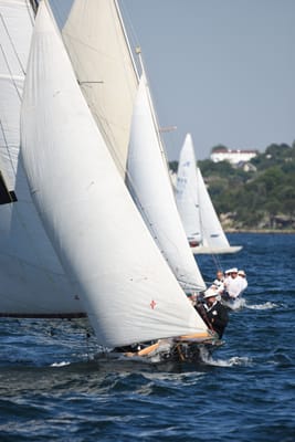 DSC_6745.JPG