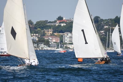 DSC_6746.JPG