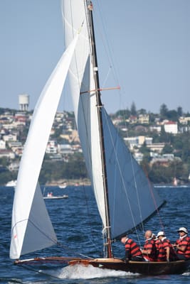 DSC_6752.JPG