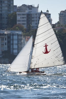 DSC_6763.JPG