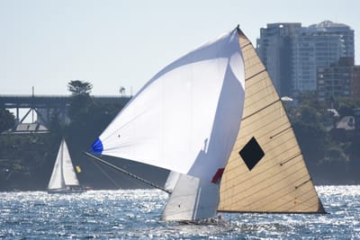 DSC_6767.JPG