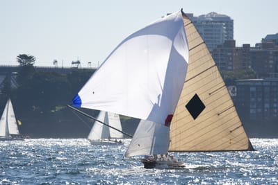 DSC_6768.JPG