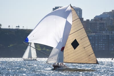 DSC_6769.JPG