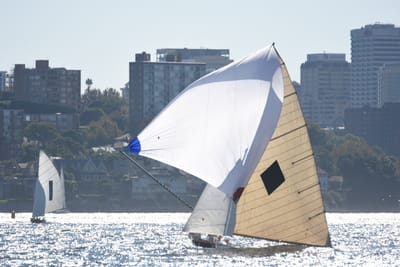 DSC_6773.JPG