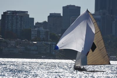 DSC_6774.JPG
