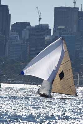 DSC_6776.JPG