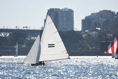 DSC_6778.JPG