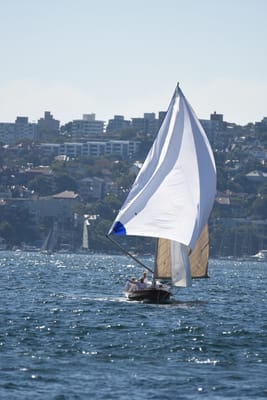 DSC_6779.JPG