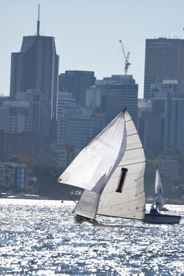 DSC_6781.JPG