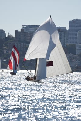 DSC_6783.JPG