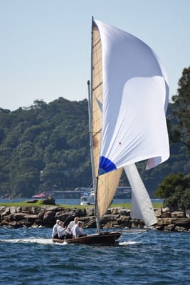 DSC_6786.JPG