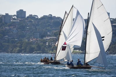 DSC_6788.JPG