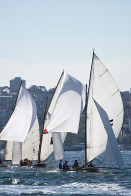 DSC_6791.JPG