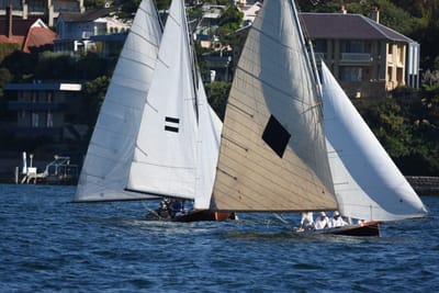 DSC_6799.JPG