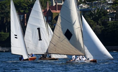 DSC_6801.JPG